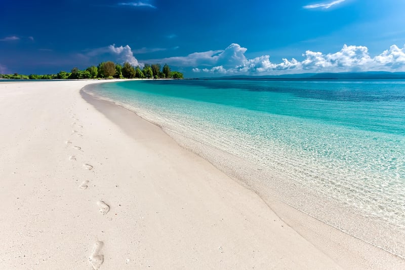Beachside Serenity