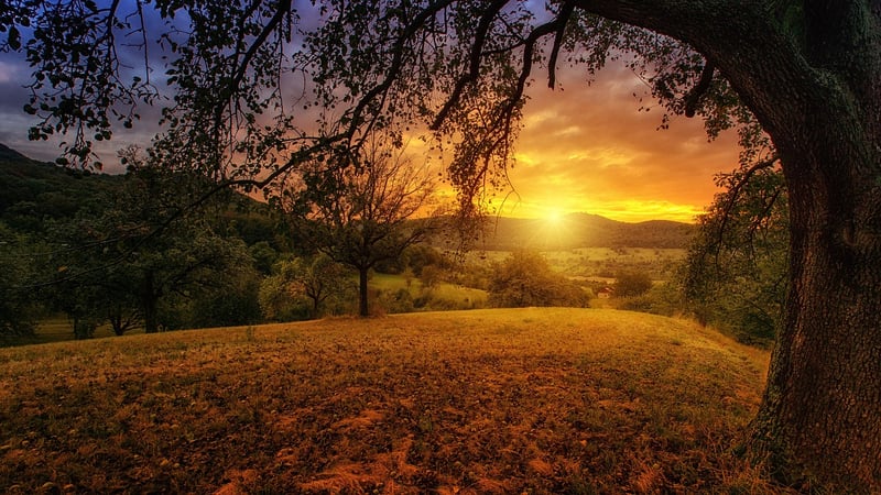 Environmental Conservation